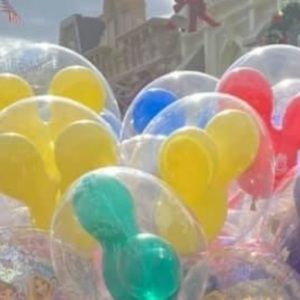 Meet your Posher, Mary kate